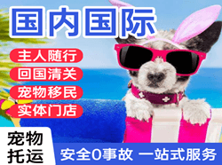 北海福成航空物流国际宠物托运 【国